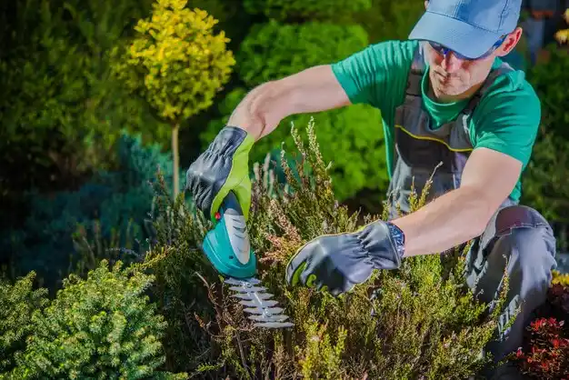 landscaping services Beal City